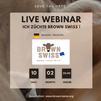 German Webinar 2025